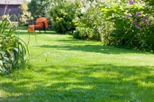 travaux jardin et paysage Capens